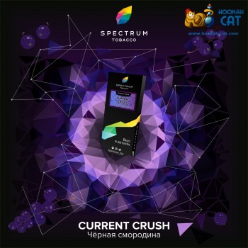 Заказать кальянный табак Spectrum Hard Current Crush (Спектрум Хард Черная Смородина) 100г онлайн с доставкой всей России - фото 1